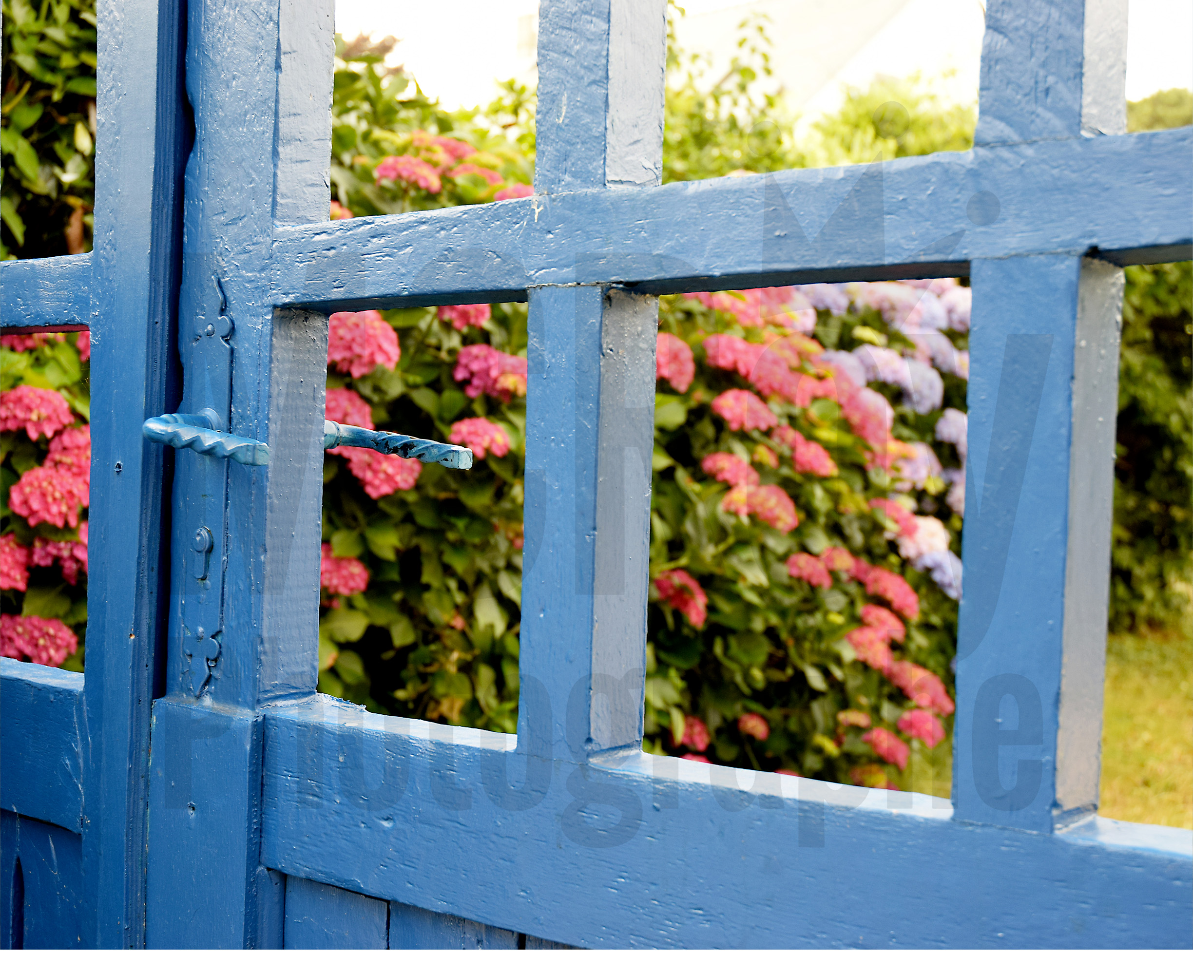 Une porte de jardin fleuri